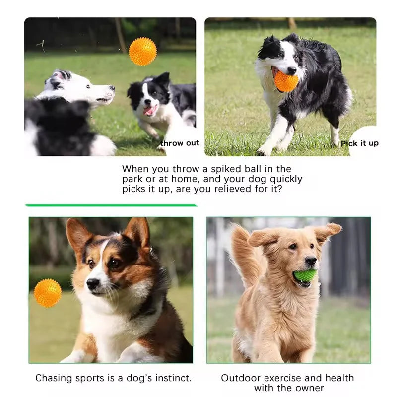 TPR Squeaky Spiked Dog Ball Chew Toy Durable Teeth Cleaning Molar Toy