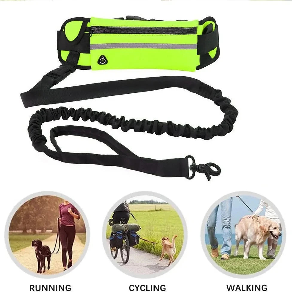 Dog Running Waist Leash Nylon Pet Leash with Waist Bag Retractable