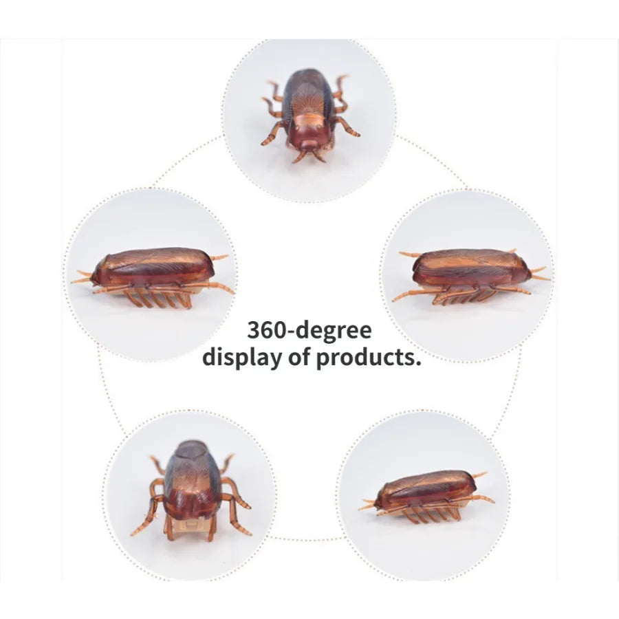 Funny Simulation of Cockroaches Pet Cat Dog Kitten Interactive
