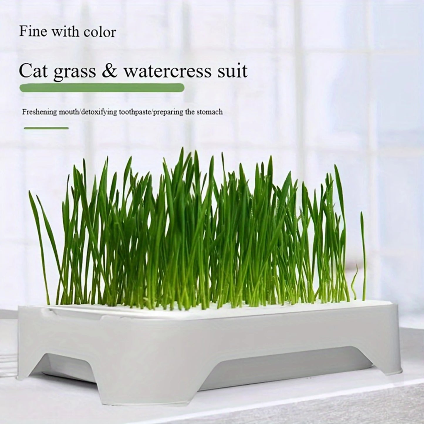 Pet Cat Grass Planting Basin Soilless Culture Wheat Seedling Pot