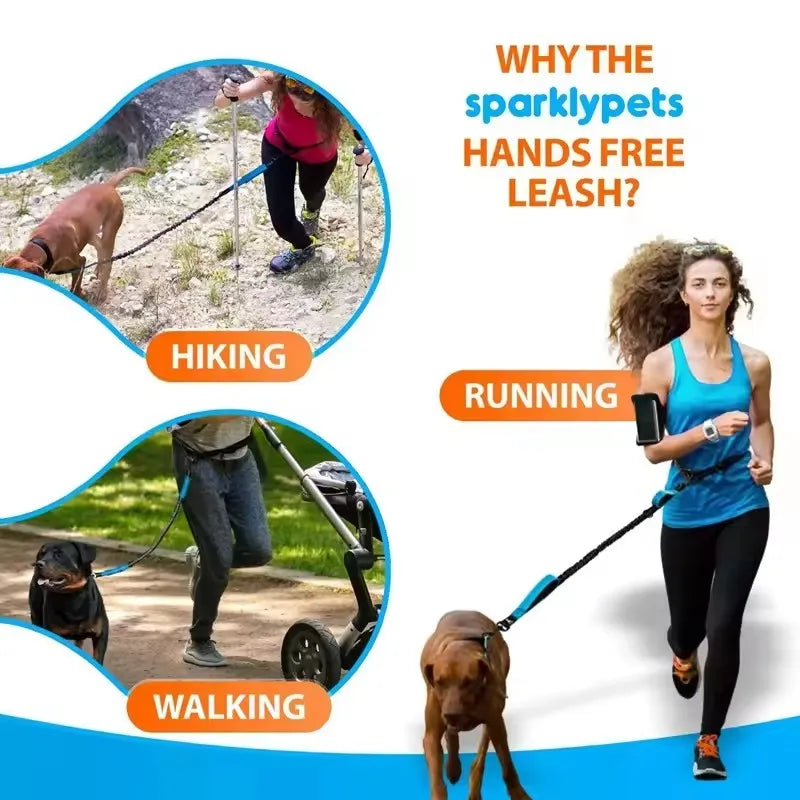 Outdoor Pet Dual Elastic Traction Rope Reflective Running at Night