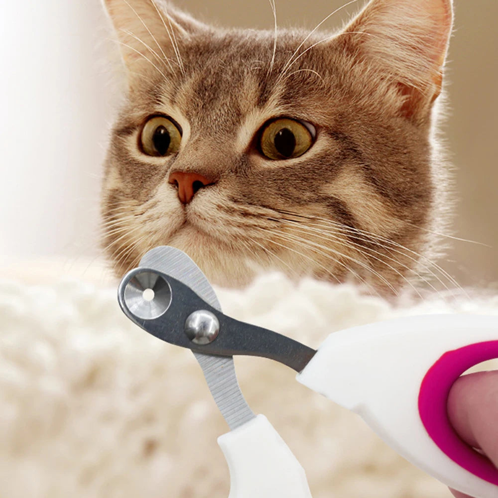 Small Blind Cat Nail Clippers Small Blind Cat Nail Clippers Special