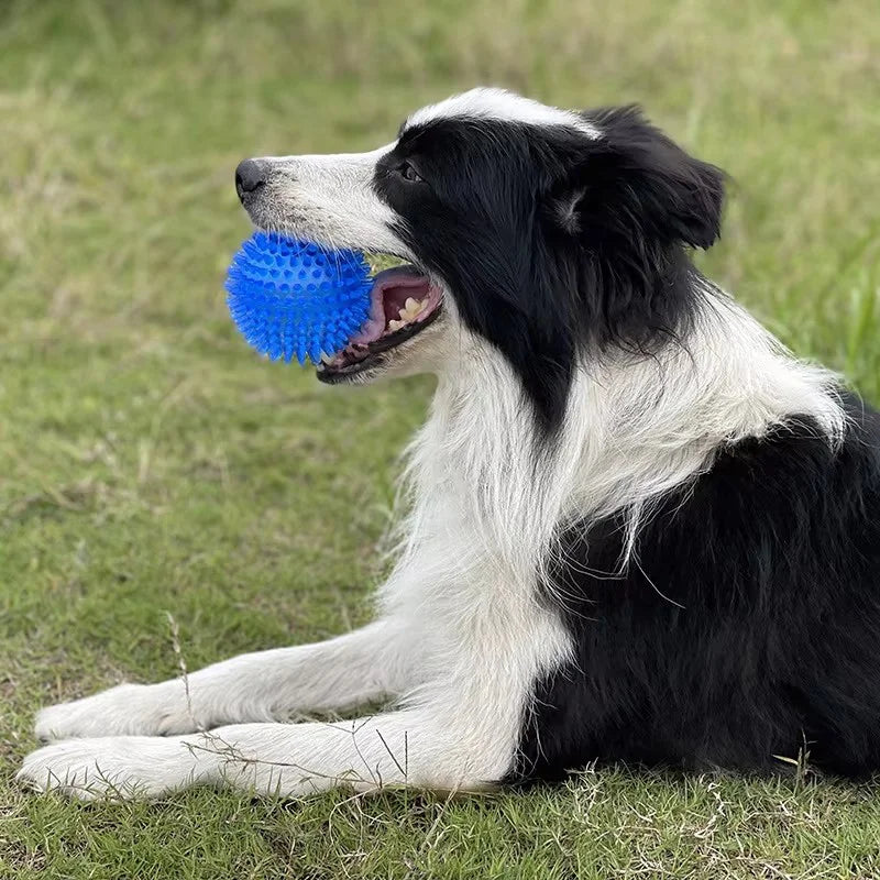 TPR Squeaky Spiked Dog Ball Chew Toy Durable Teeth Cleaning Molar Toy