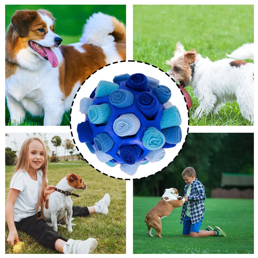 Dog Sniffing Ball Innovative Pet Shaking Training Toys for Pet