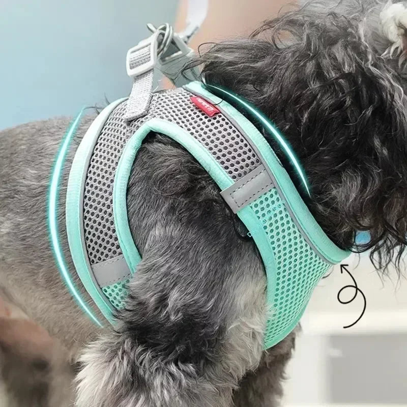 Puppy Harness Set Dog Accessories Adjustable Pet Vest Dogs French
