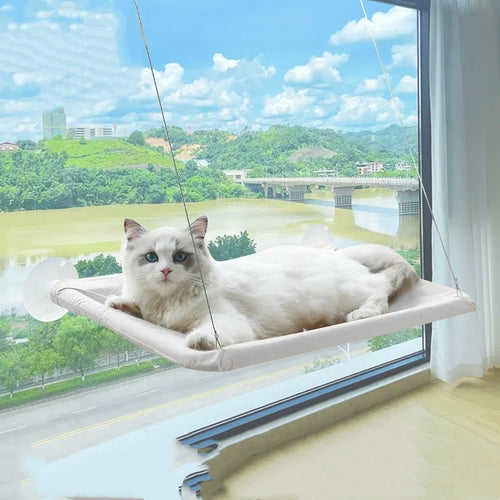 New pet cat hammock hanging cat bed bearing 20 kg comfortable sunny