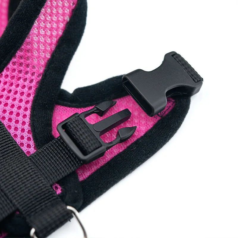 Hot summer small dog pet chest and back breathable dog chest and back