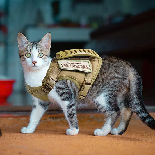 Tactical Cat Harness For Walking Escape Proof Adjustable Pet Vest