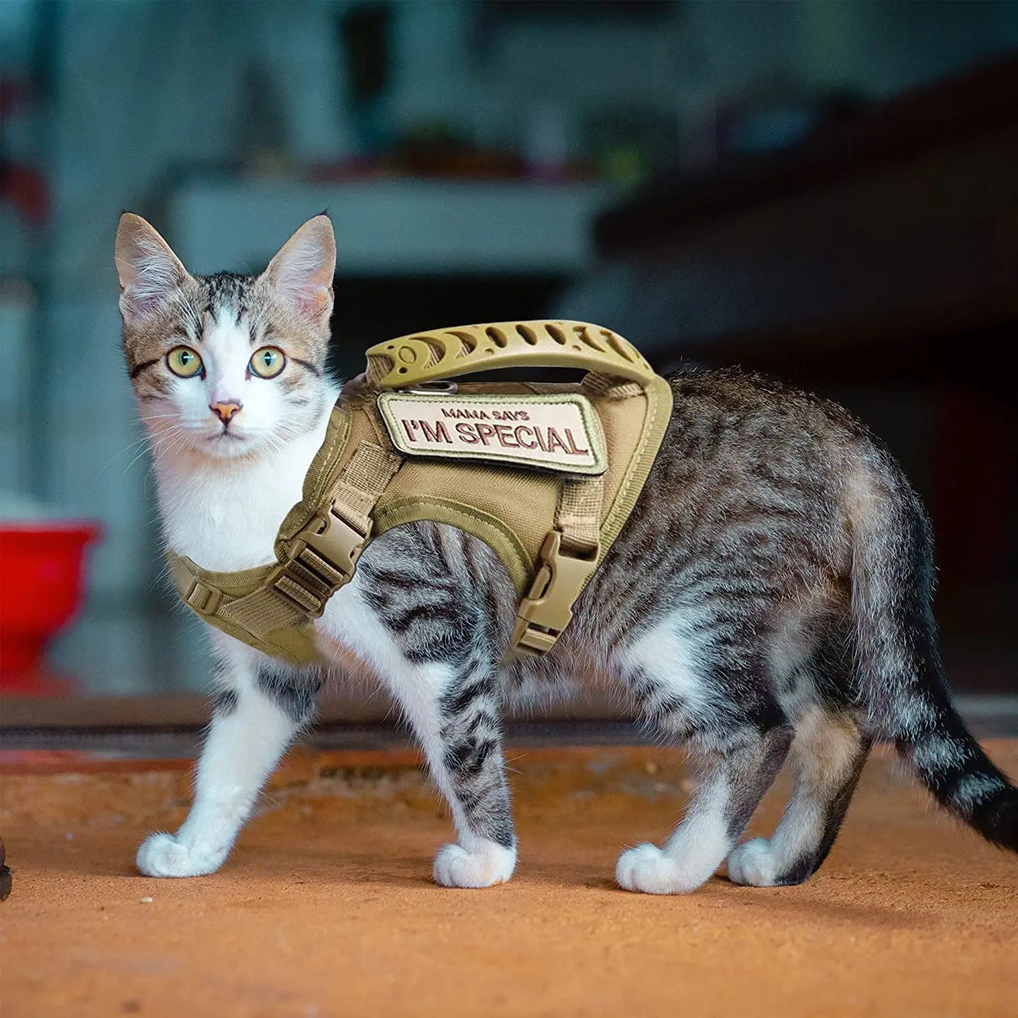 Tactical Cat Harness For Walking Escape Proof Adjustable Pet Vest