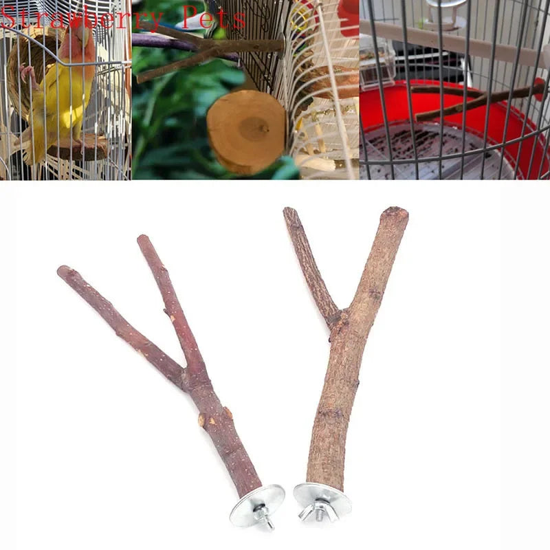 Natural Wood Pet Parrot Raw Wood Fork Tree Branch Stand Rack Squirrel