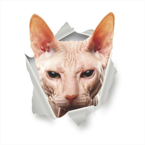 Vivid 3d Hole Funny Cat Dog Toilet Stickers Diy Wc Washroom Home