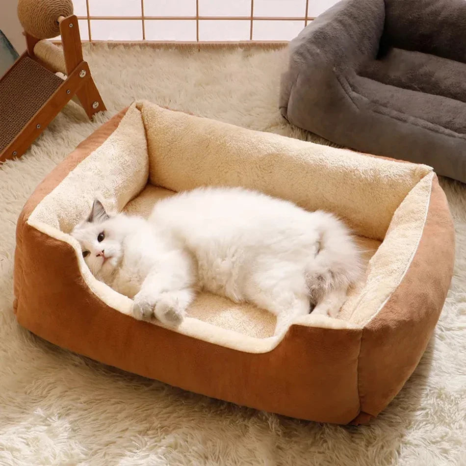 Bed for Cats Pet Products Cushions Kitten Goods Accessories Dog All