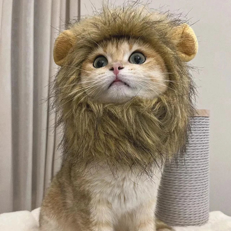 Funny Pets Clothes Cap Cute Cat Wig Lion Mane Costume Cosplay Kitten