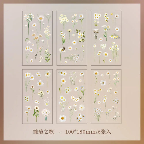 JIANQI 6pcs/pack Transparent PET Stickers Scrapbooking Materials DIY