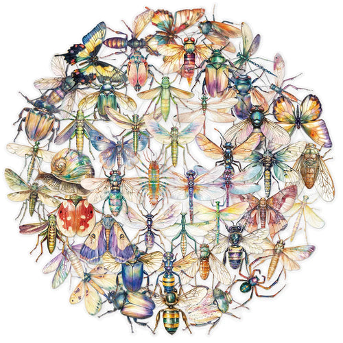 50Pcs Cute Cartoon Insect Beetle Stickers PET for Toy DIY Luggage