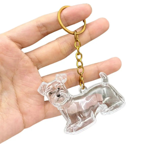 Transparent Cute Dog Hair Storage Keychain Pet Fur Keepsake Capsule