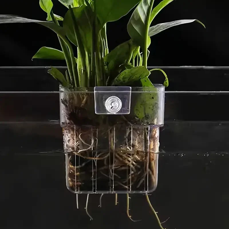 1PC Hydroponic Planting Cup Household Water Grass Planting Cup Wall