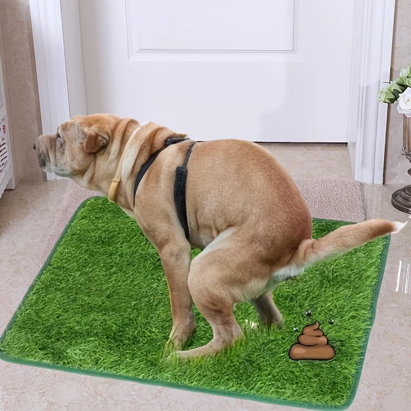 Ultimate Washable Dog Grass Mat - Reusable, Odor-Control Artificial