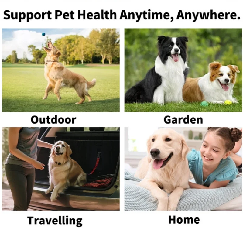 Pet Cleaning Products Eye Wipes To Remove Tear Marks Cleaning Wet