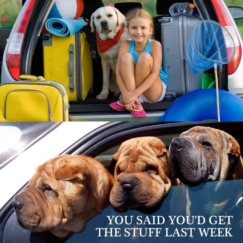 Pet Dog Cat Car Seat Dog Car Seat Belt Safety Protector Travel Pets