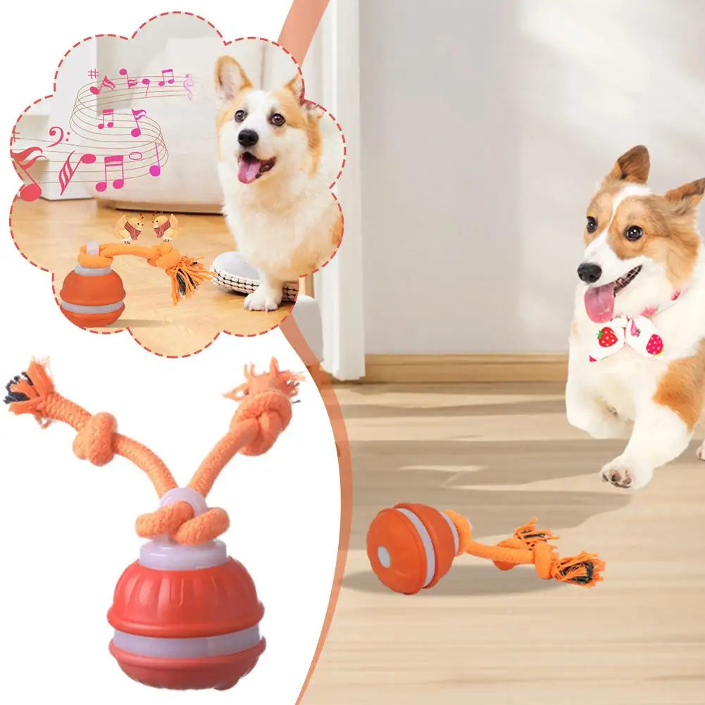 Pet Ball for Dogs Interactive Toys Motion Activate Rolling Ball for