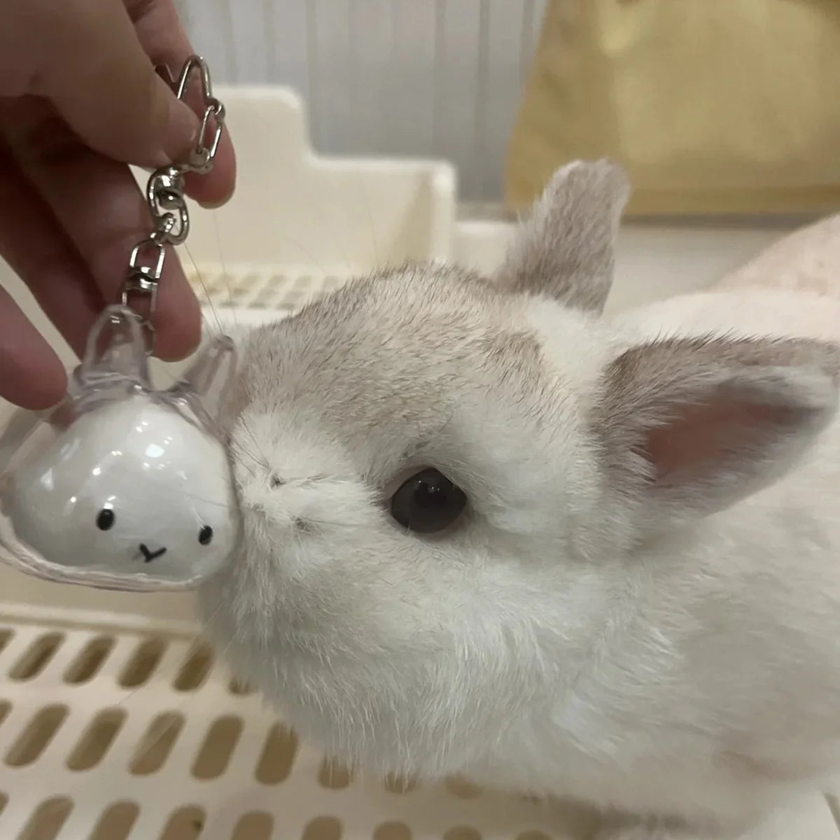 Transparent Rabbit Hair Keepsake Bottle Pet Hair Storage Capsule