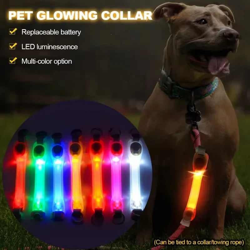 Night running pet dog safety harness collar for preventing loss.