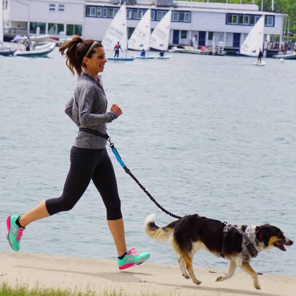 Hand Free Dog Leash for Pet Walking Running Jogging Adjustable Dog