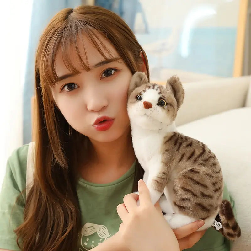 Stuffed Siame Cats Plush Toy 20/25cm Simulation American Shorthair