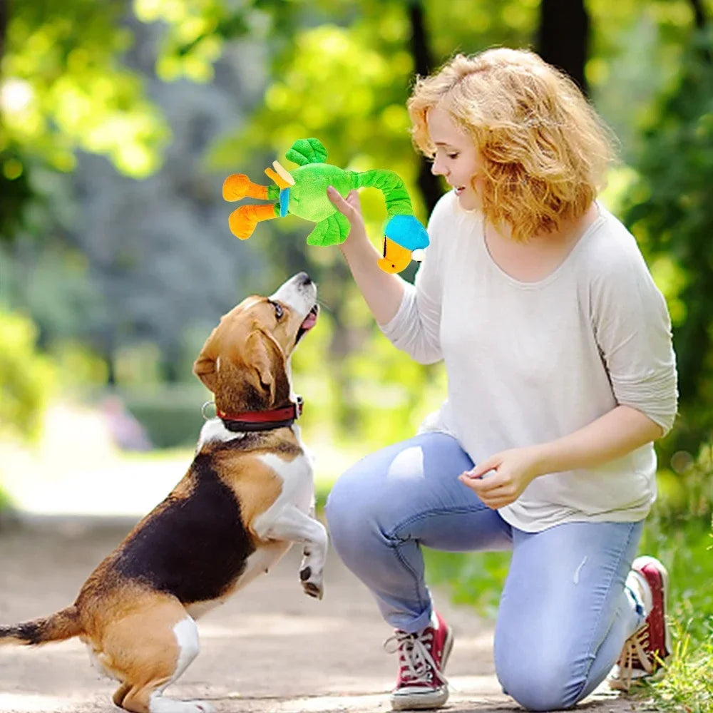 Pets Dog Toys Screaming Chicken Sound Toy Puppy Bite Resistant Chew