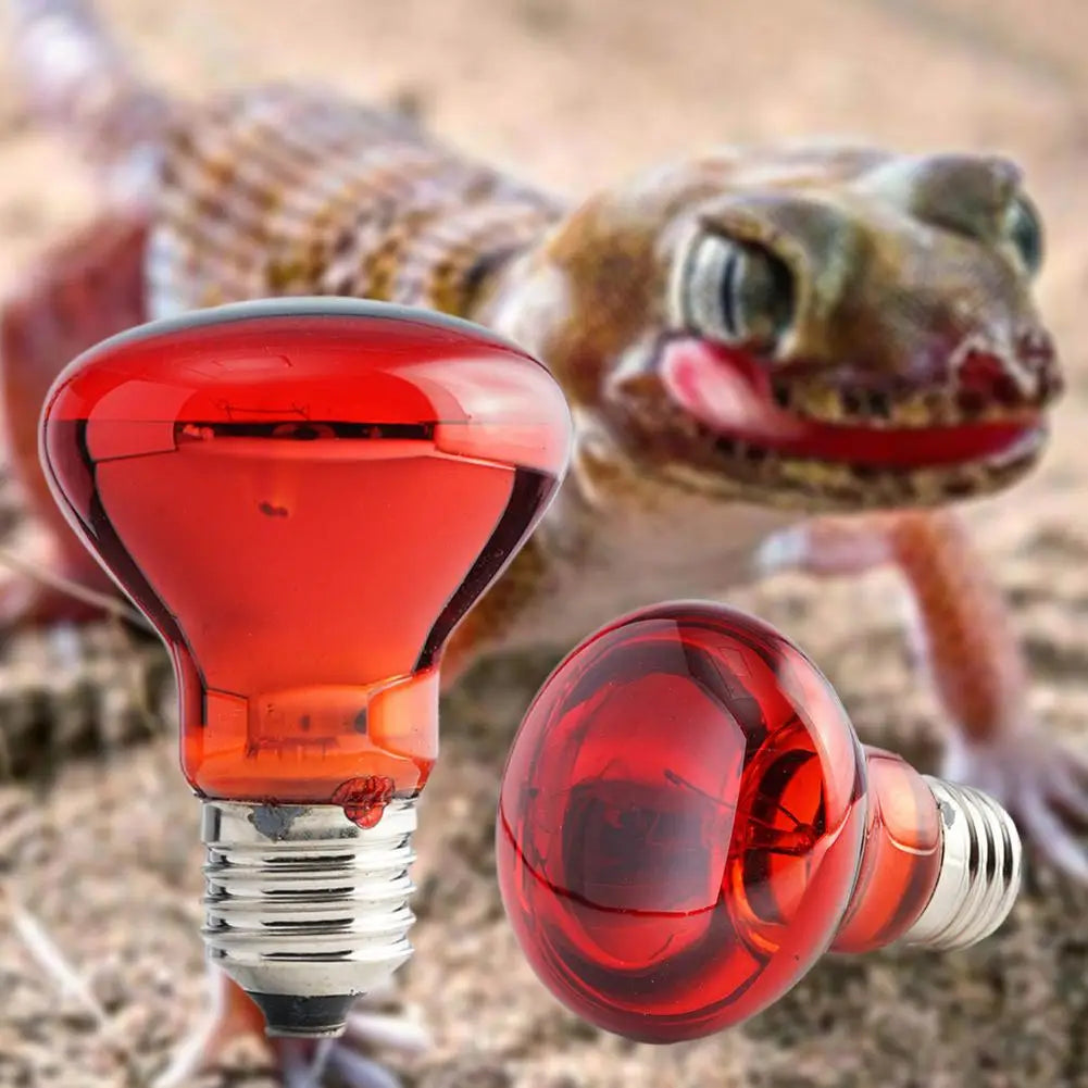 E27 Poultry Heating Bulb 25W-100W Infrared Insulation Heating For