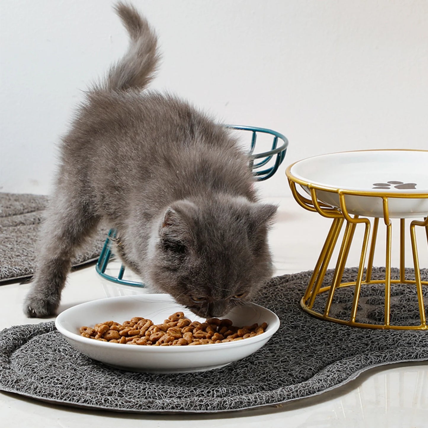 Ceramic Raised Pet Bowl Food Water Bowls with Rack for Cats Dogs