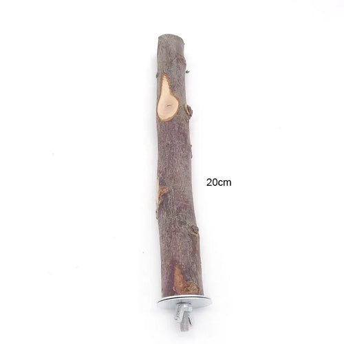 Natural Wood Pet Parrot Raw Wood Fork Tree Branch Stand Rack Squirrel