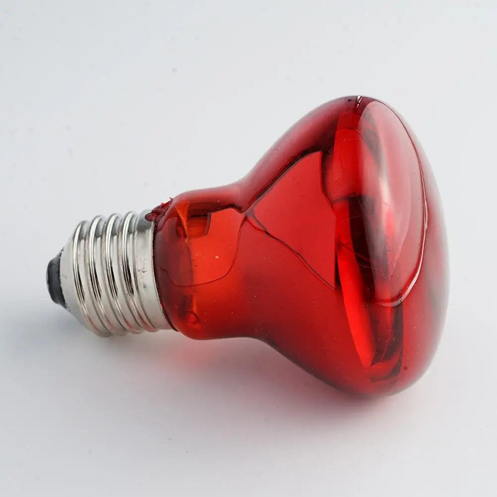 Pet Heating Lamp UVA Day Night Amphibian Amphibian Snake Lamp Heat