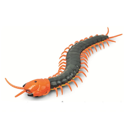 Infrared Remote Control Animal Cobra Insect Cockroach Caterpillar Cat