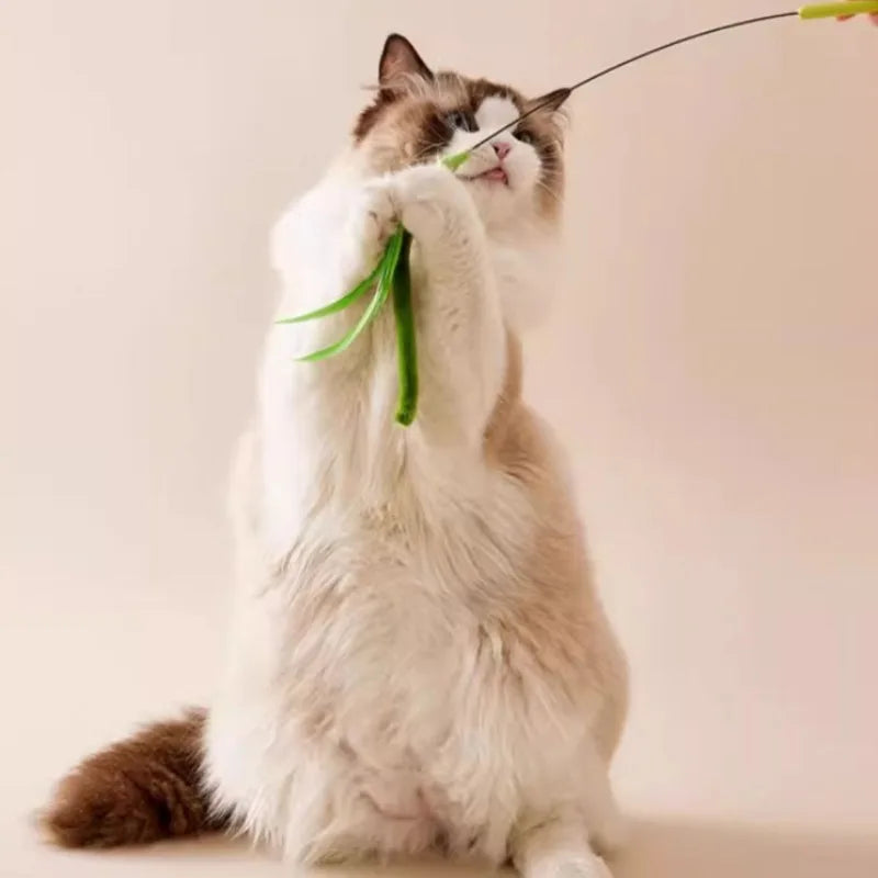 Cat Interactive Toy Cat Dog Tail Grass Dog Sage Feather Long Pole Cat