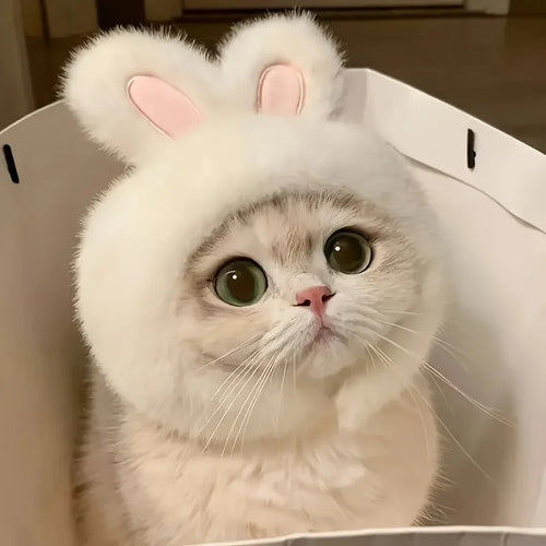 1pc Bunny Ears Cat Hat Themed Pet Costume Knit Fabric Set Comfortable
