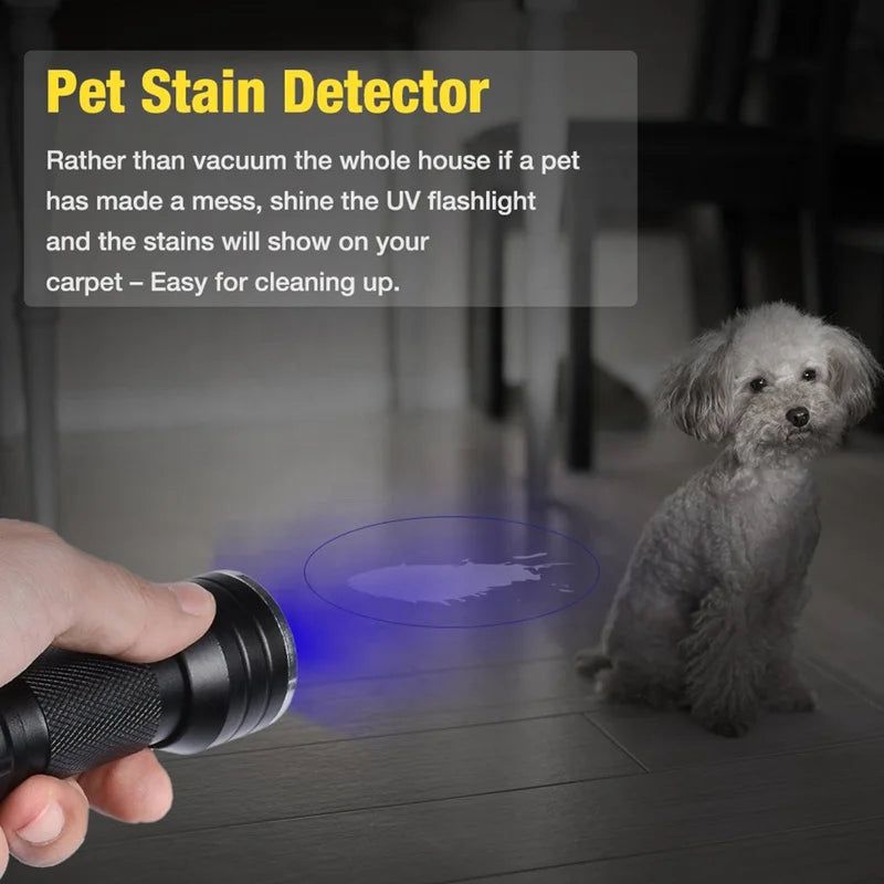 21 LED UV Ultraviolet Flashlight Blacklight 395NM Mini Torch Flash