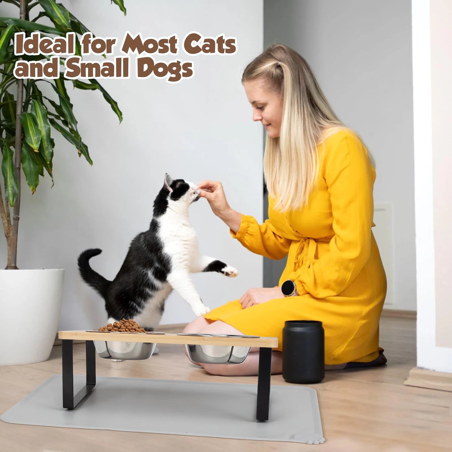 Elevated Cat Bowls Pet Feeder 15° Tilted Raised Cat Food Bowls with