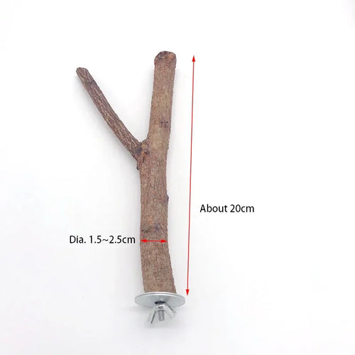 Natural Wood Pet Parrot Raw Wood Fork Tree Branch Stand Rack Squirrel