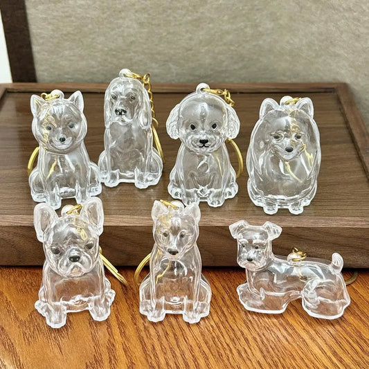 Transparent Cute Dog Hair Storage Keychain Pet Fur Keepsake Capsule
