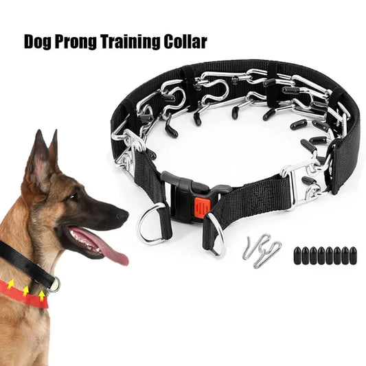 Dog Training Collar Prong Collar with Quick Release Buckle & Nylon