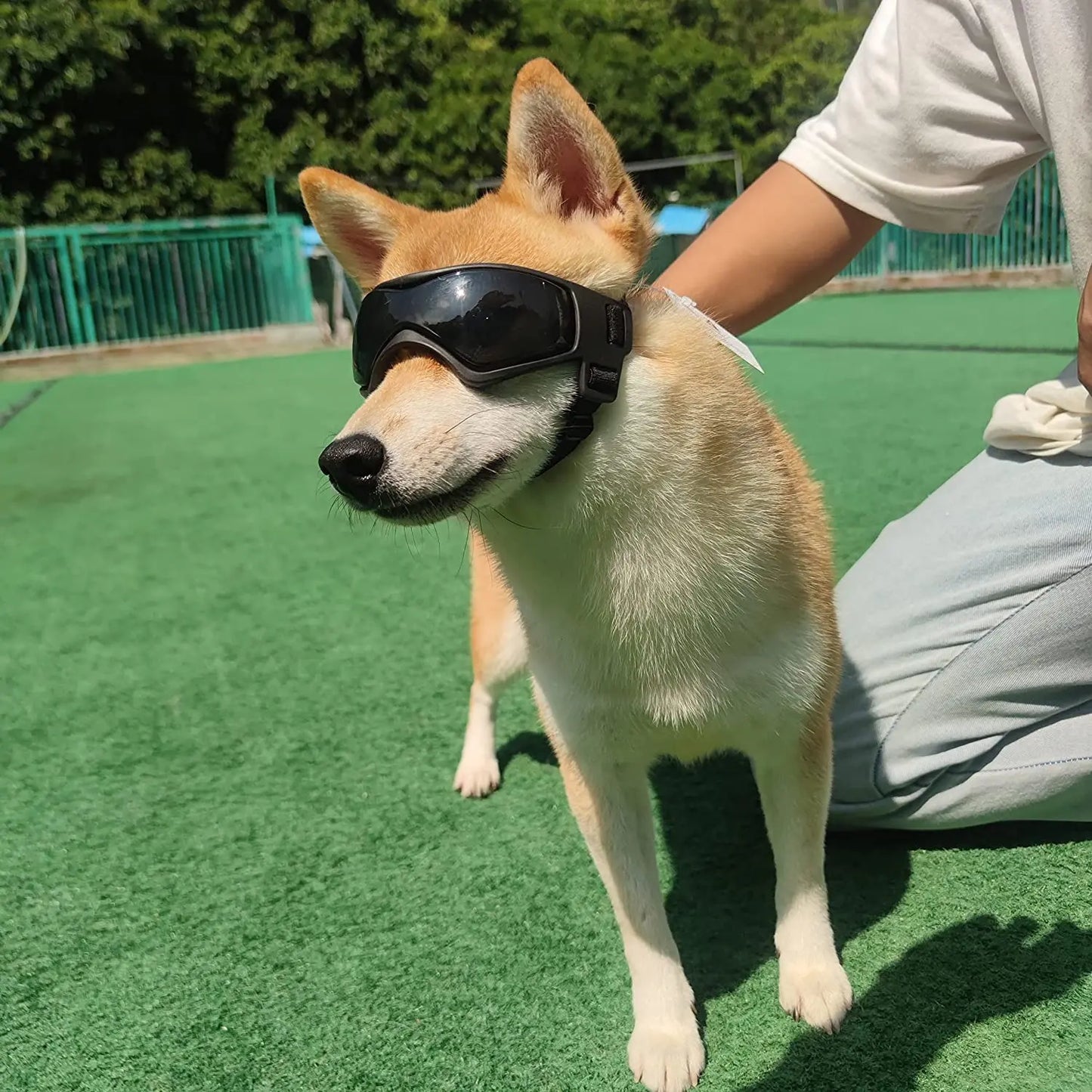 Pet Accessories Dog Outdoor UV Protection Sunglasses Cat Dog Goggles