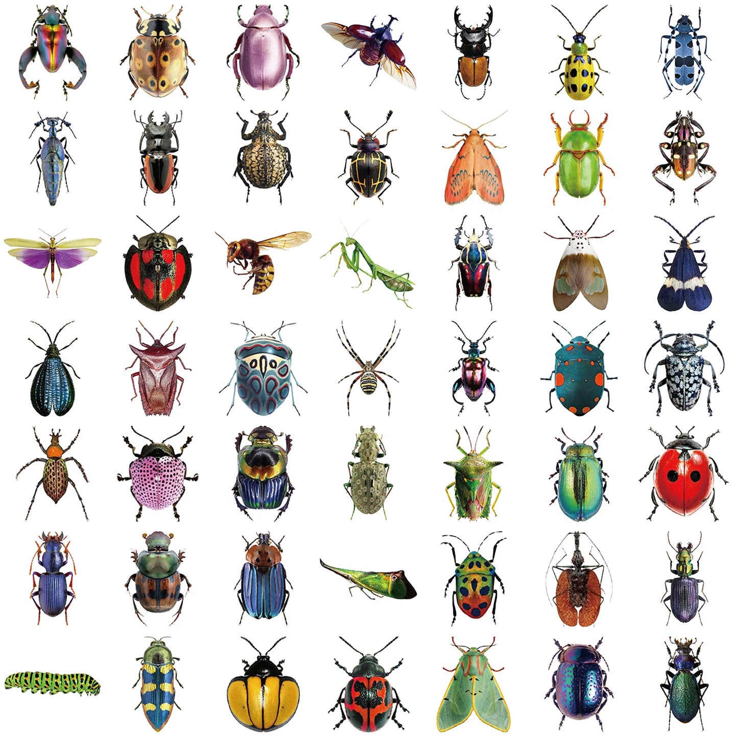 50pcs Cartoon Cute Cartoon Insect Beetle Stickers PET for Toy DIY