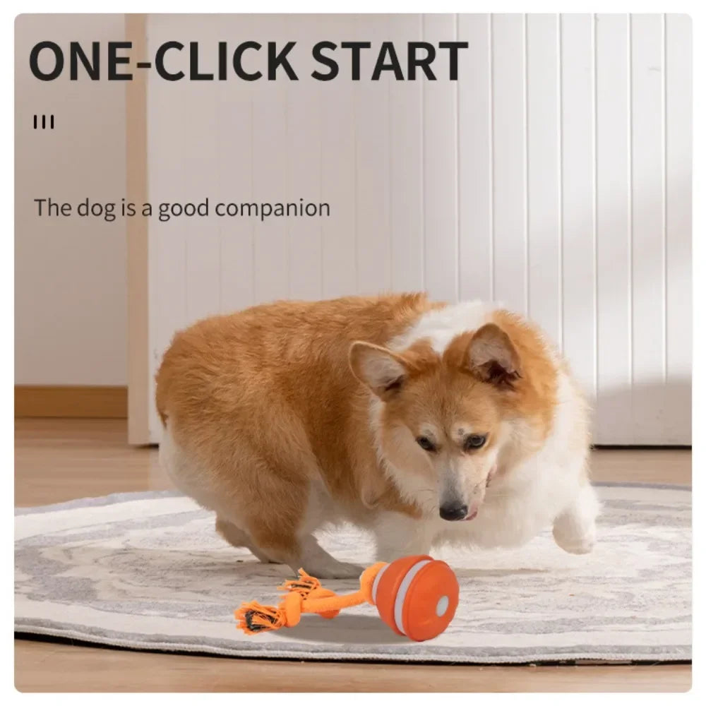 Pet Ball for Dogs Interactive Toys Motion Activate Rolling Ball for