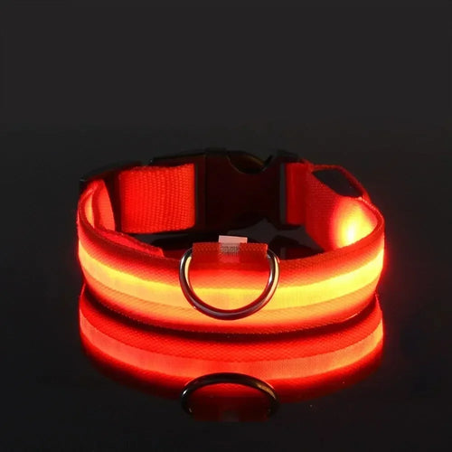 Light Up LED Pet Dog Collar Safety Night Walking Flashing Glow In The