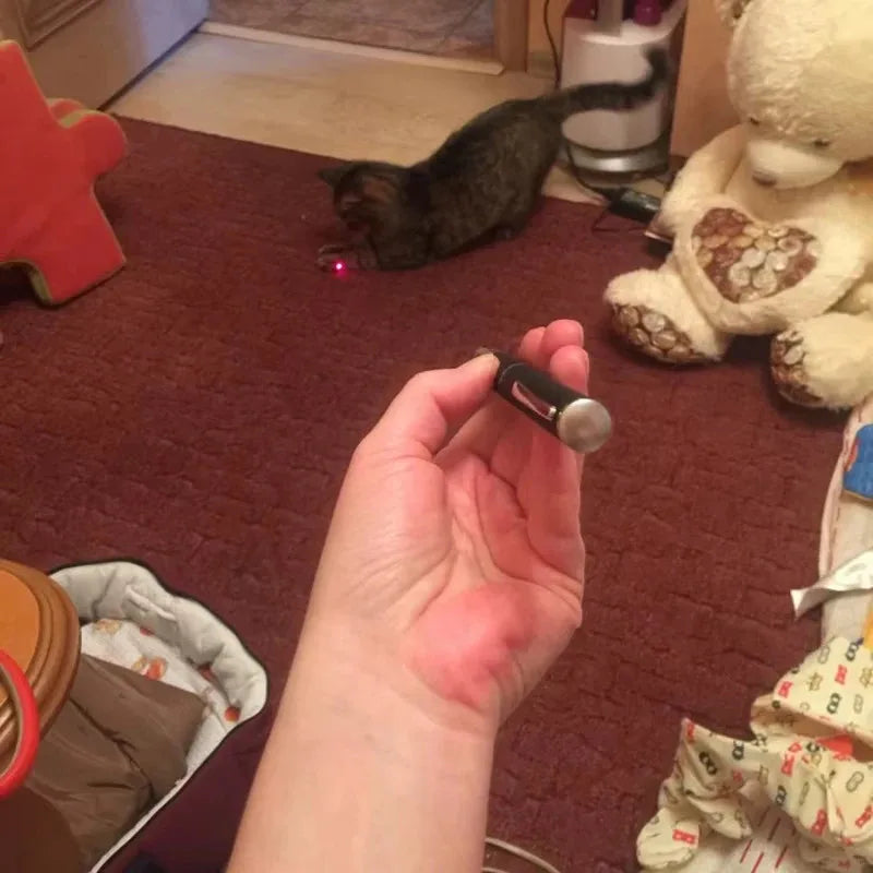 Pet Laser Pointer & LED Flashlight - Interactive Cat Scratching Toy,