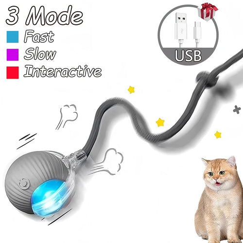 Cat Interactive Ball Toys Automatic Rolling Ball Faux Tail
