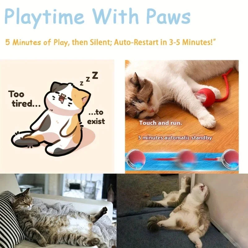 Cat Interactive Ball Toys Automatic Rolling Ball Faux Tail
