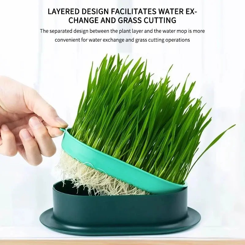 New Pet Cat Sprout Dish Growing Pot Hydroponic Plant Cat Grass